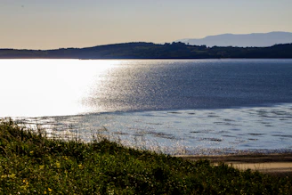 A serene coastal vista at sunrise with soft blues and natural greens reflecting luxury travel.