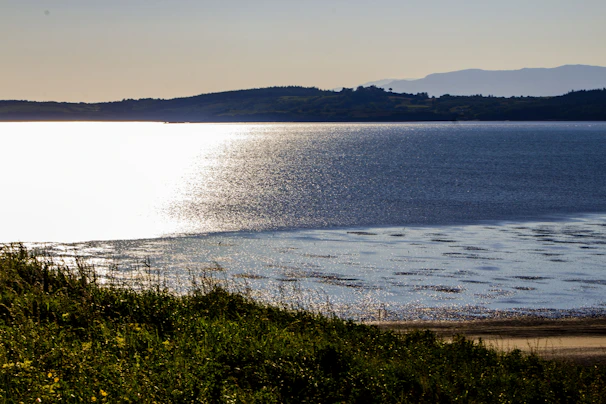 A serene coastal vista at sunrise with soft blues and natural greens reflecting luxury travel.