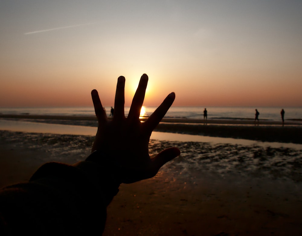 person in black long sleeve shirt showing peace sign