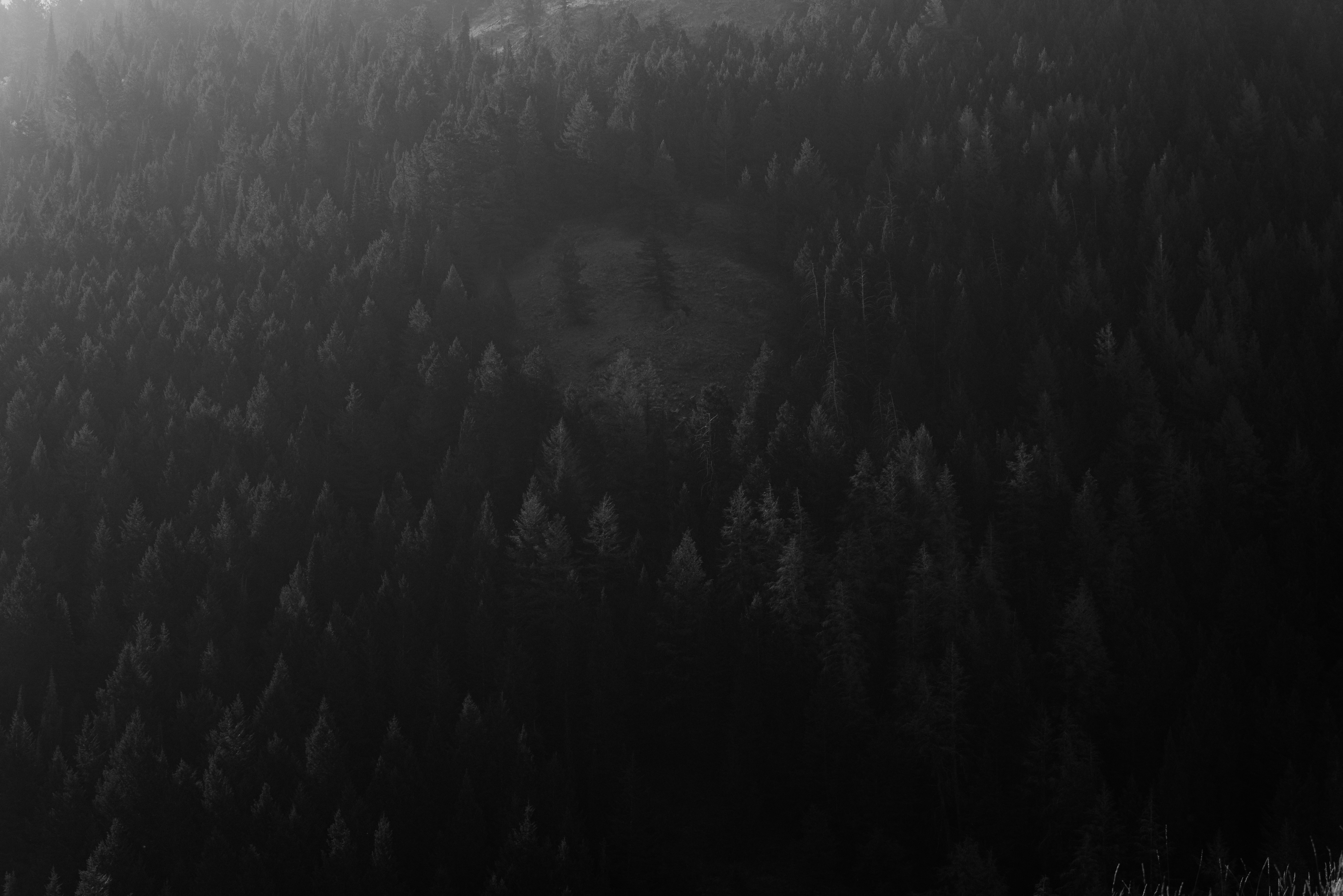 Photo by lightrisephoto