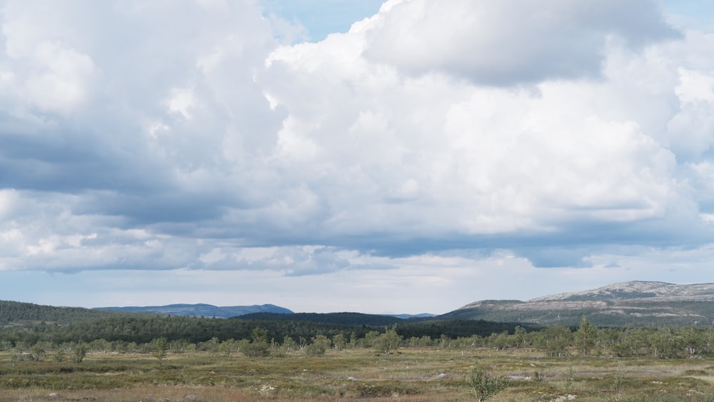 green grass field under white clouds during daytime