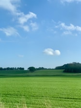 A serene landscape of East Anglia farmland under a clear blue sky, showcasing open fields and distant trees.