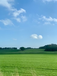 A serene landscape of the Jutland countryside with a clear blue sky.