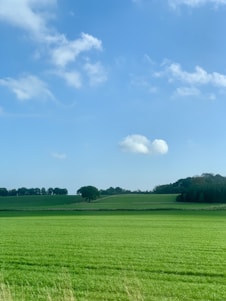 A serene countryside plot with green fields under a clear blue sky, inviting for new beginnings.