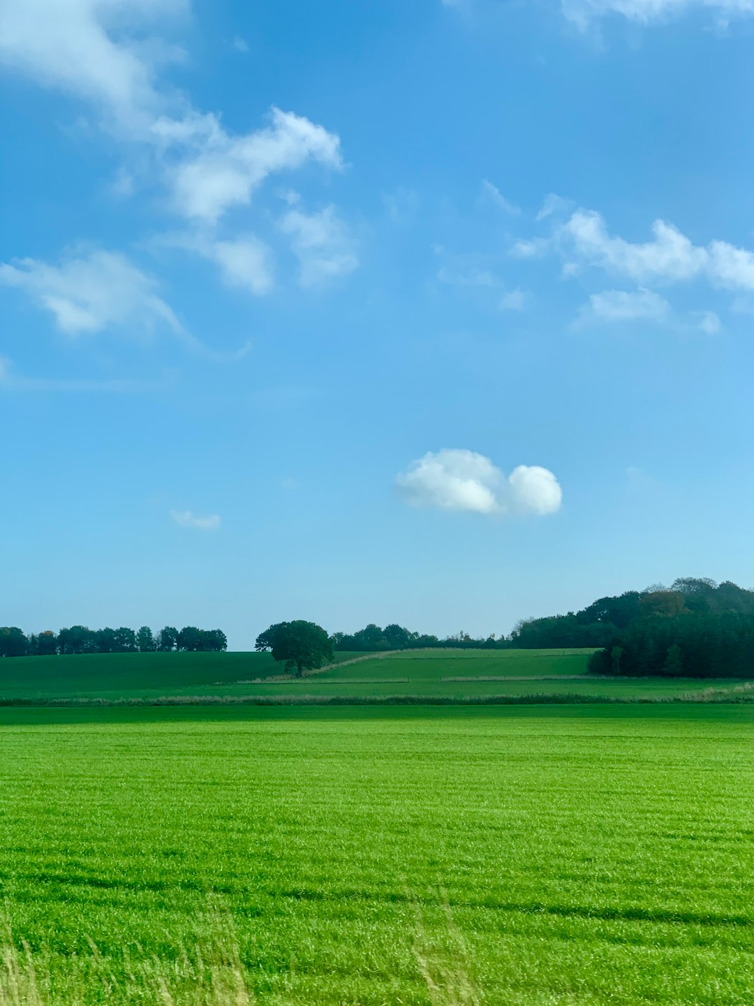 Plain photo spot Horsensvej Denmark