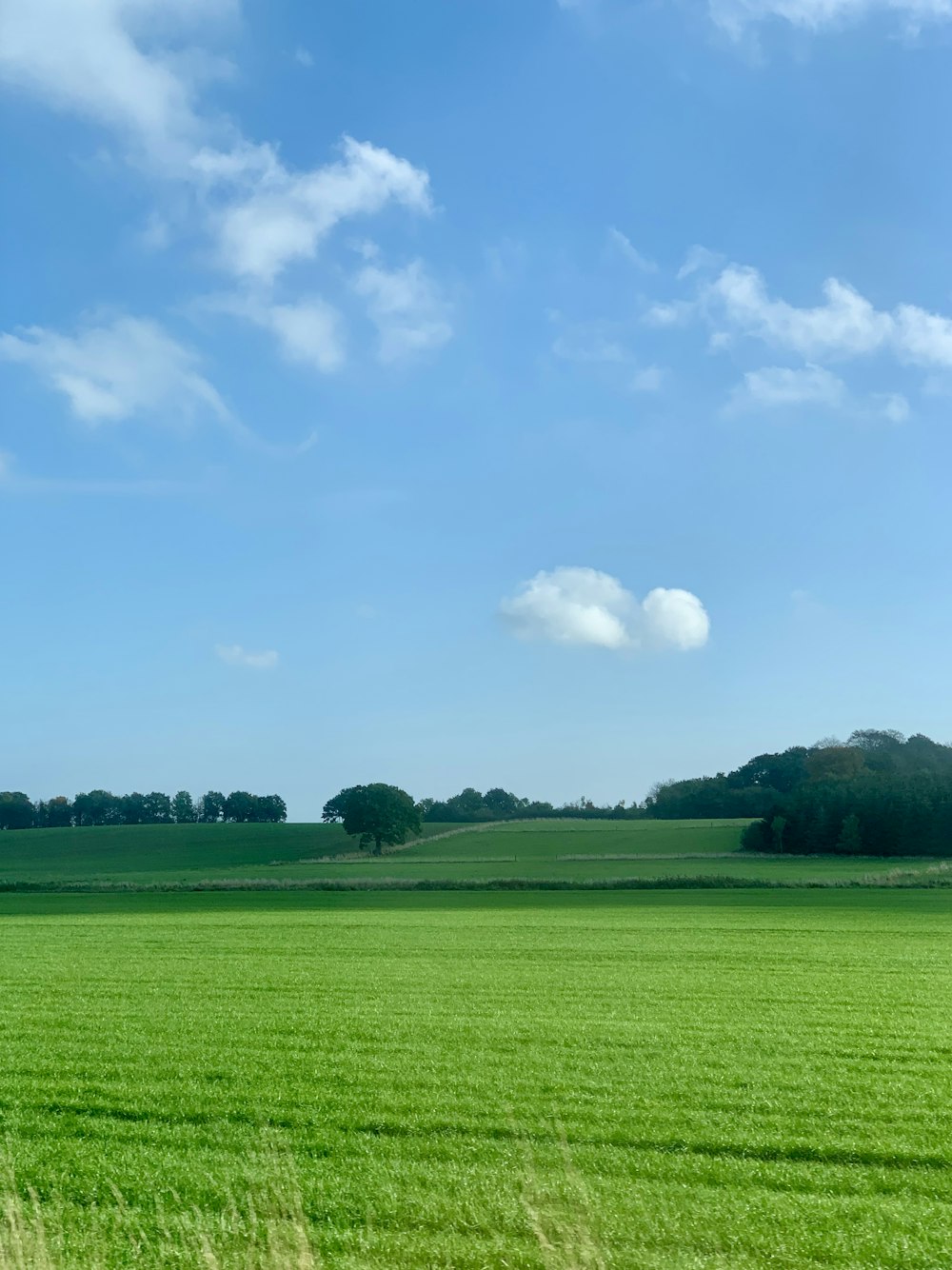 green grass field under blue sky during daytime