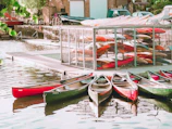 Several colorful canoes are aligned in the water near a dock, with a variety of kayaks stacked in a metal rack in the background. Buildings and parked cars are visible behind the storage area, and there is a leafy green tree on the left side, providing a natural contrast to the urban setting.