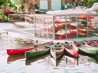 Several colorful canoes are aligned in the water near a dock, with a variety of kayaks stacked in a metal rack in the background. Buildings and parked cars are visible behind the storage area, and there is a leafy green tree on the left side, providing a natural contrast to the urban setting.