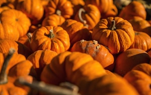 Autumn Pumpkin