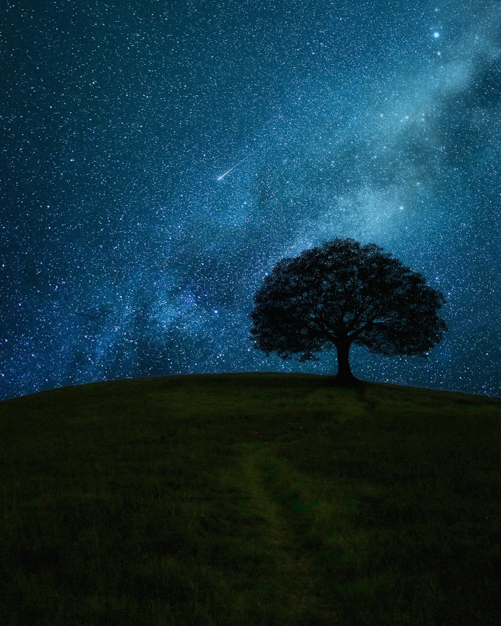 green tree under blue sky