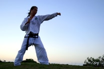 A person wearing a traditional martial arts uniform with a black belt stands in a stance, poised with one arm extended in a punch. The background features an open sky transitioning from light to deep blue, suggesting early evening or dawn. The ground is grassy, and some foliage is visible.
