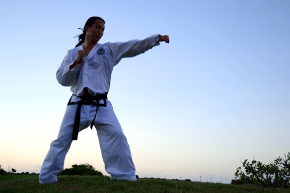 A person wearing a traditional martial arts uniform with a black belt stands in a stance, poised with one arm extended in a punch. The background features an open sky transitioning from light to deep blue, suggesting early evening or dawn. The ground is grassy, and some foliage is visible.