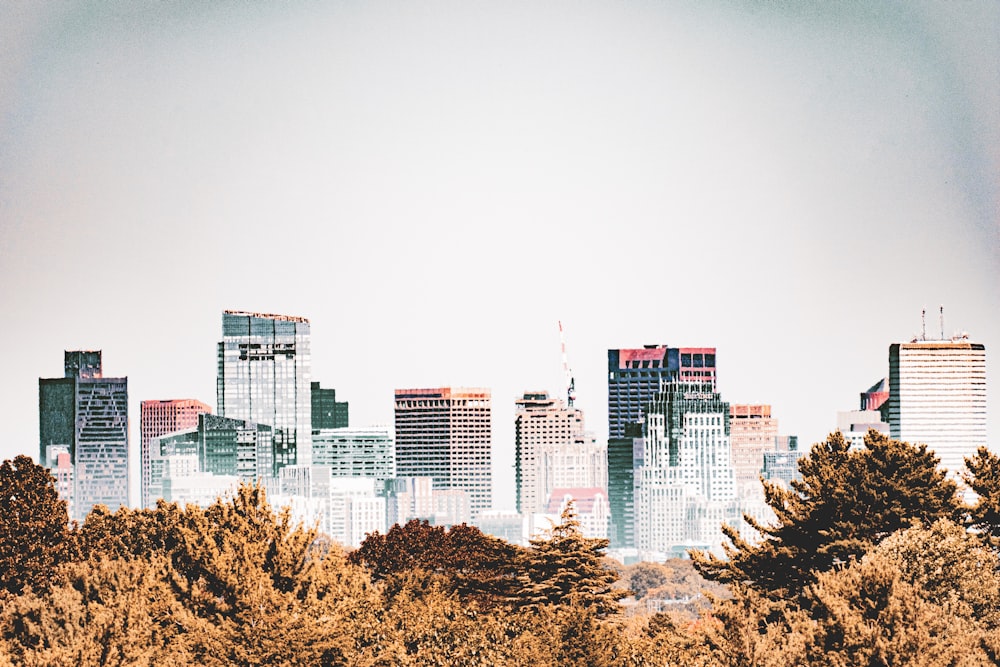 high rise buildings near trees during daytime