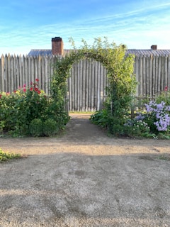 A charming wooden garden arbor framing a blooming rose pathway under a clear blue sky.