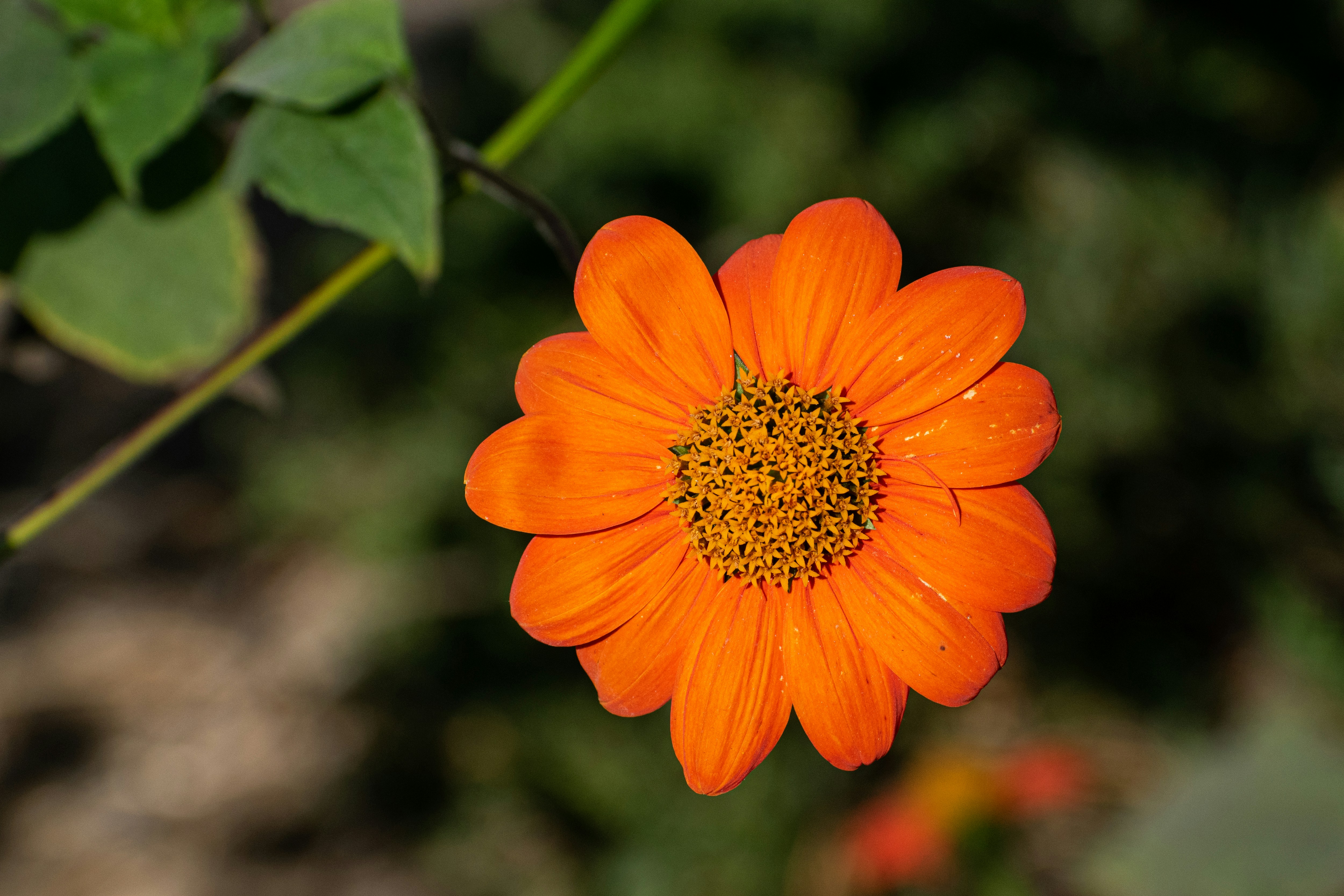 Photo by elisastonephotography