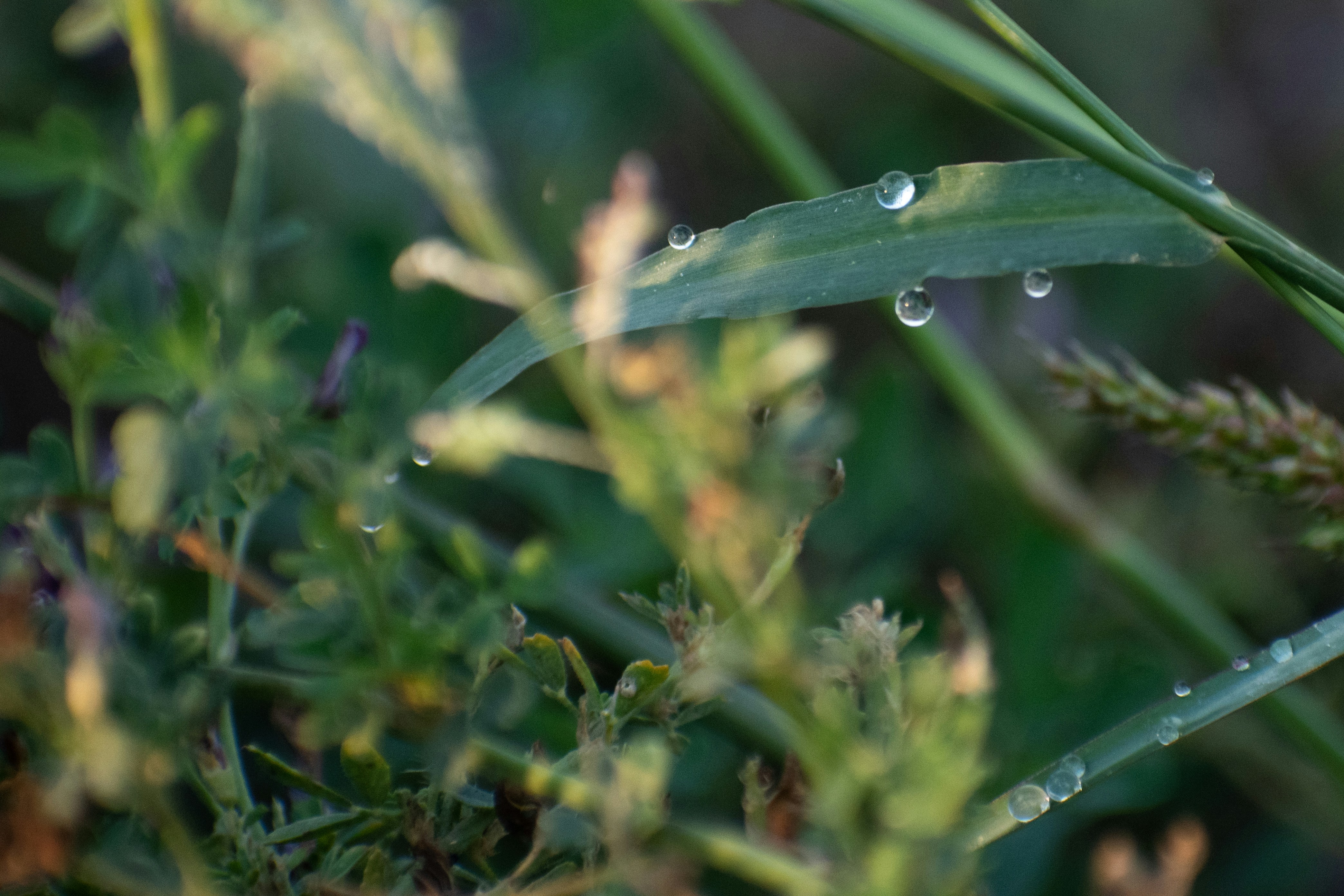 Photo by elisastonephotography