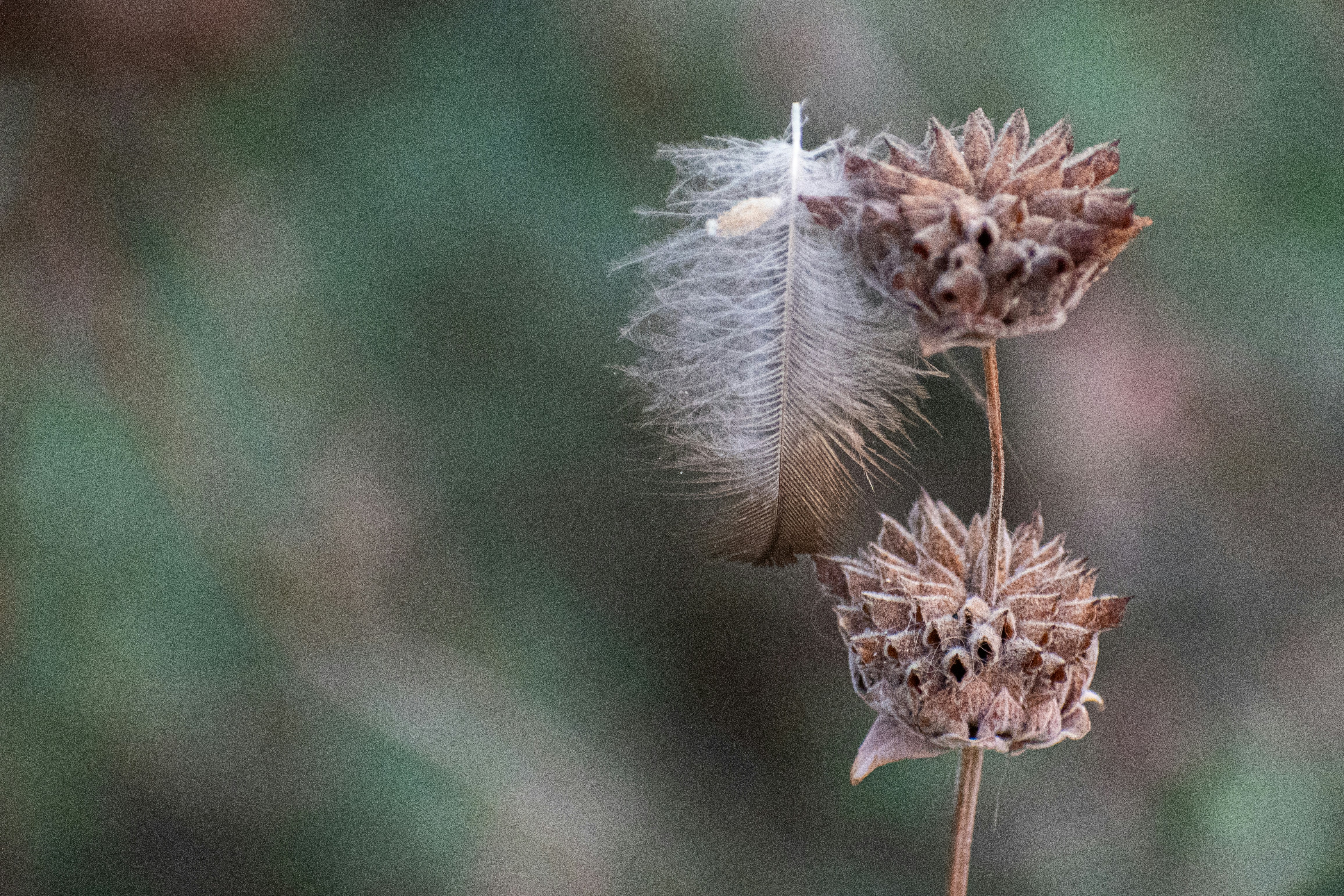 Photo by elisastonephotography