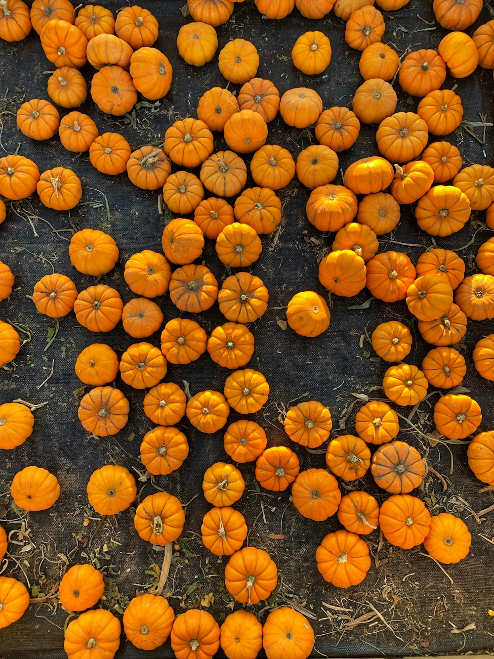 yellow and orange round fruits