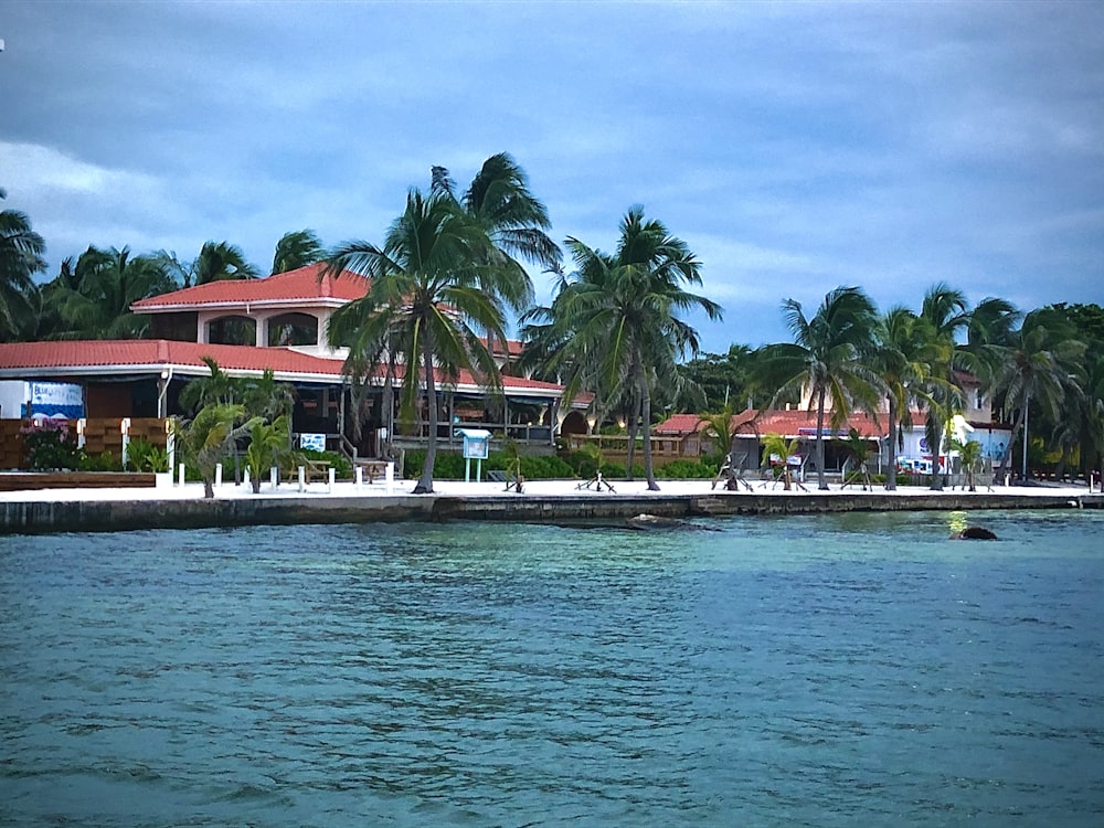 people walking on beach shore during daytime