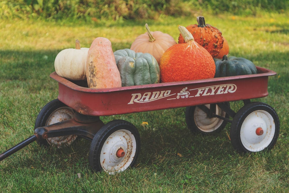 orange and green pumpkin on red and black cart