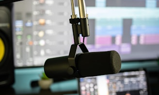 black and gray microphone with stand