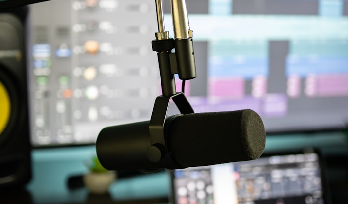 black and gray microphone with stand