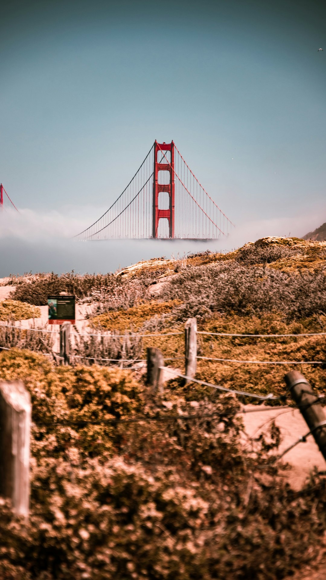 golden gate bridge under blue sky during daytime