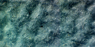 Macro view of fluffy volume fans handcrafted and ready for application.