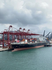 Container ship docked at port with vibrant cranes and infrastructure