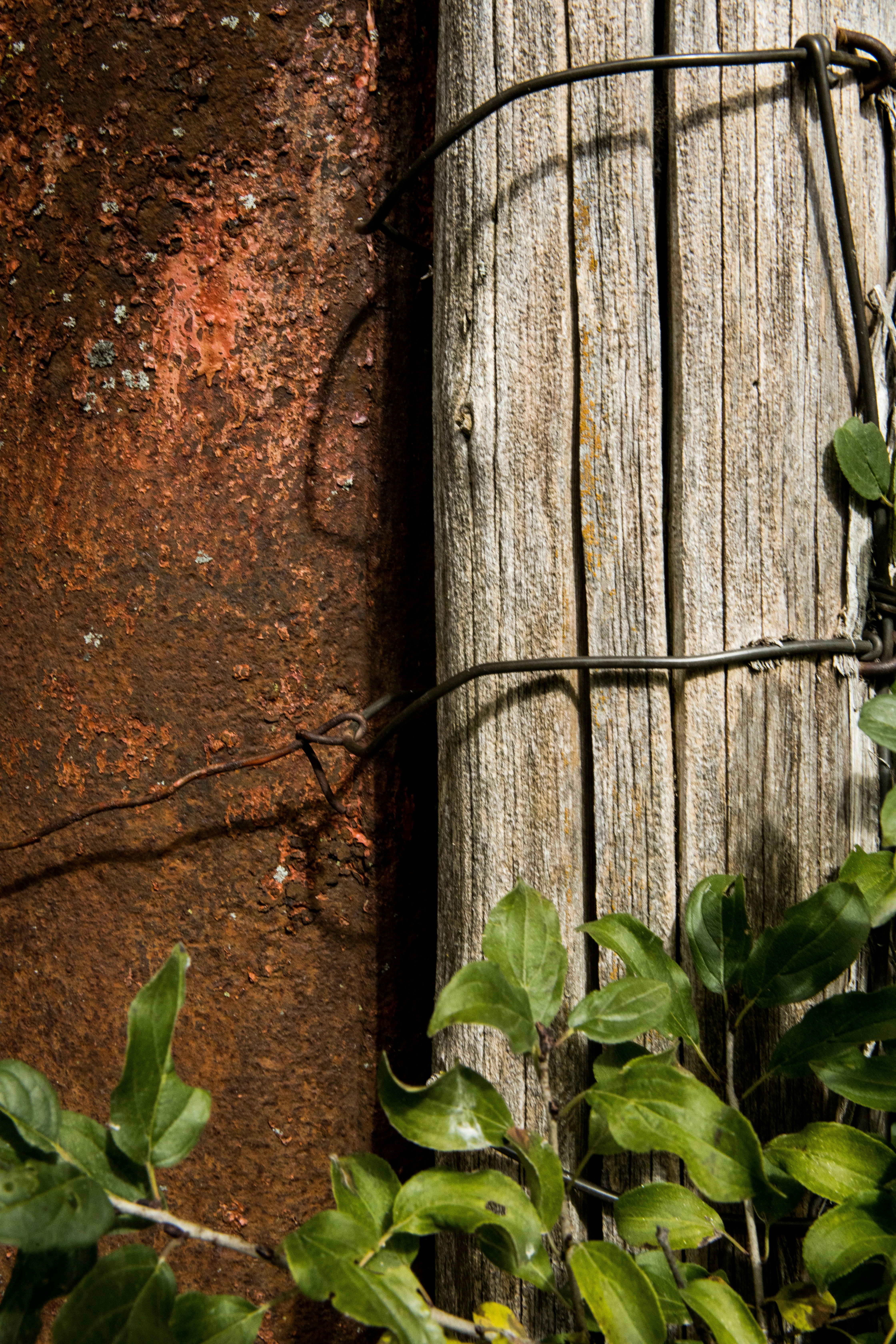 Photo by bradydrogers