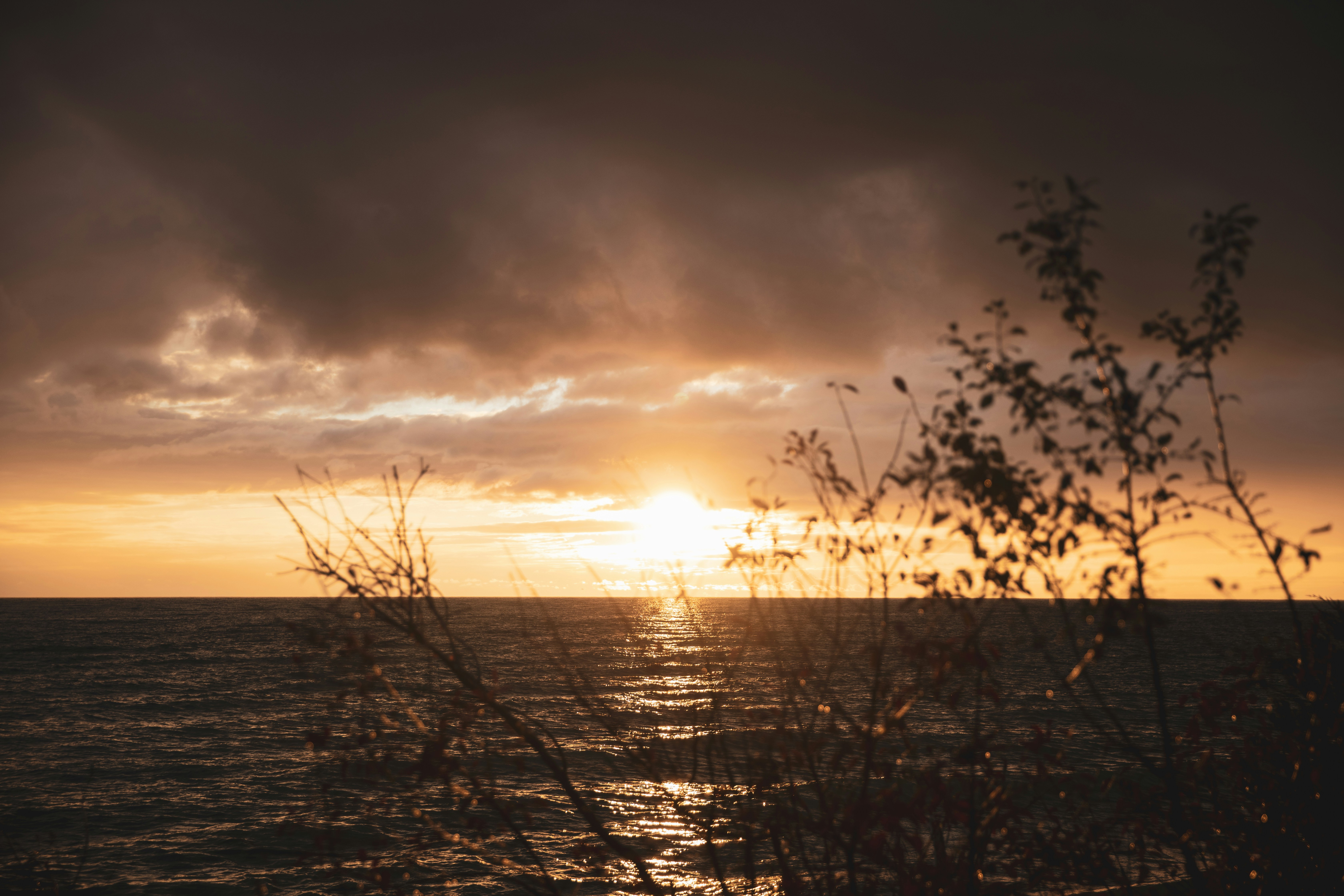 Photo by bradydrogers