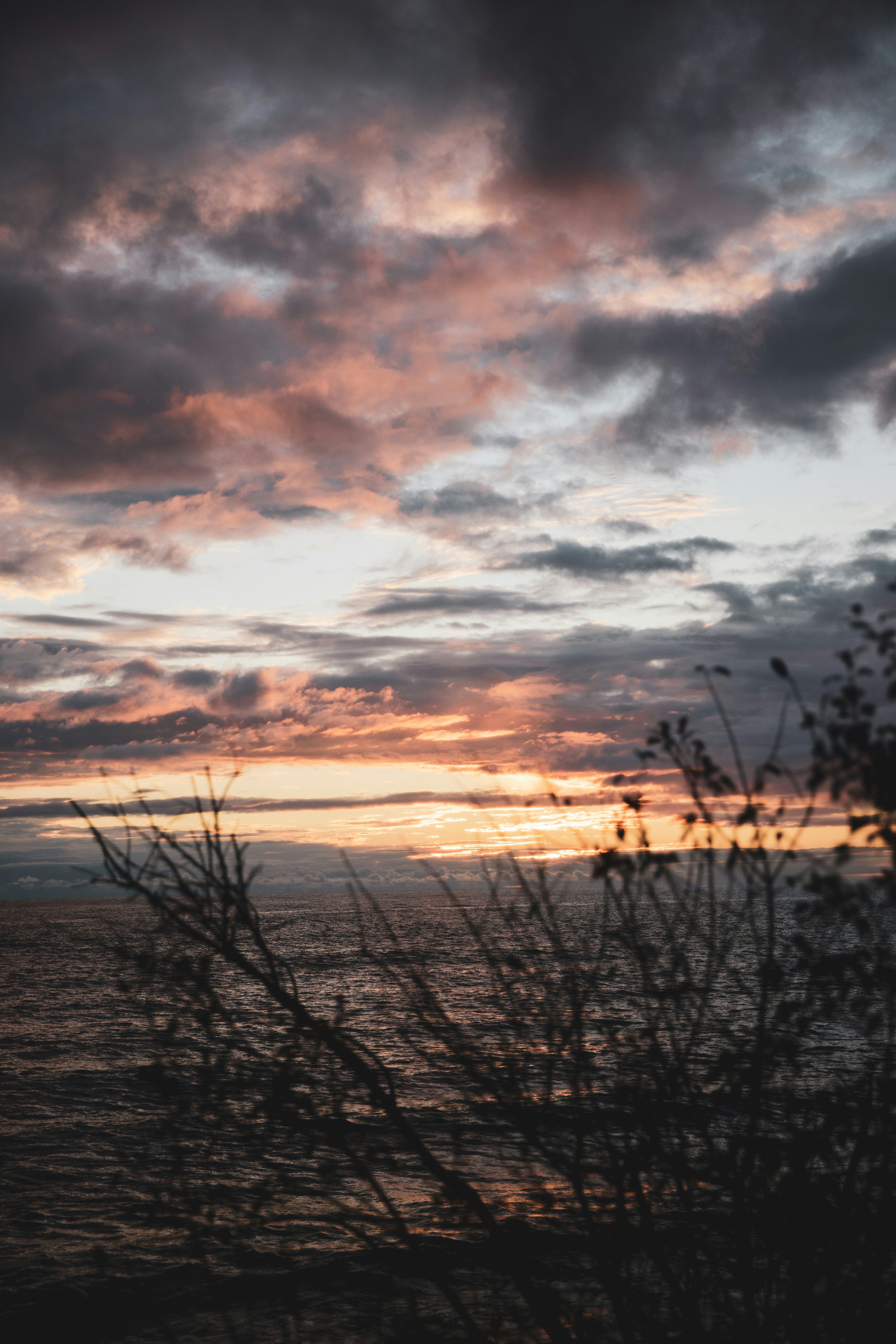 Photo by bradydrogers