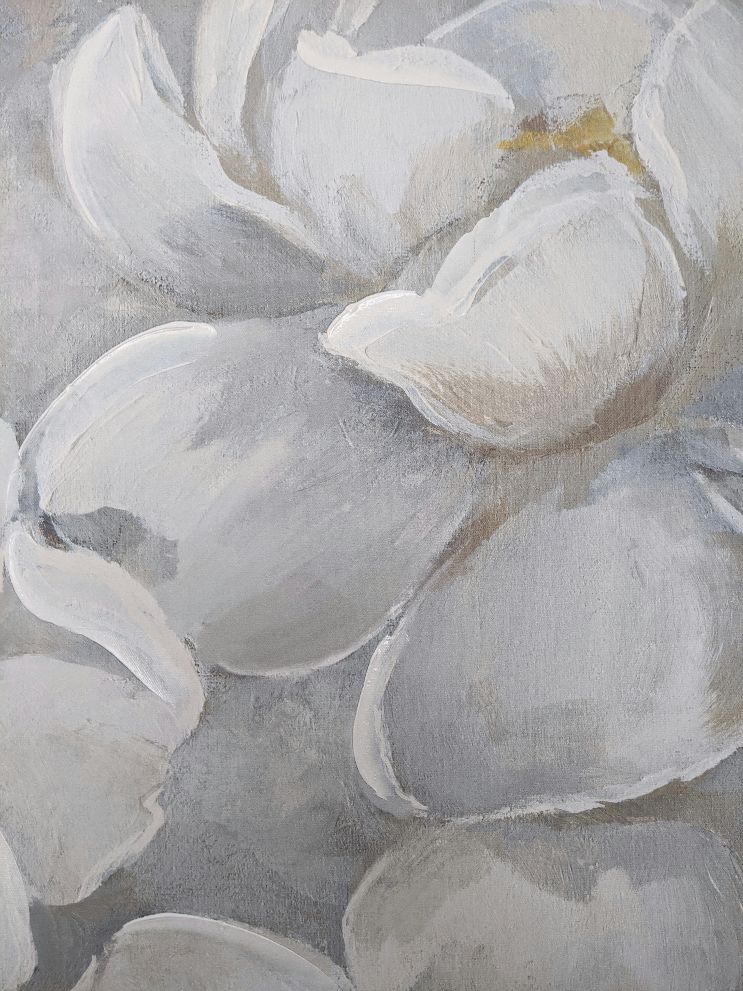 Photo by susan_wilkinson