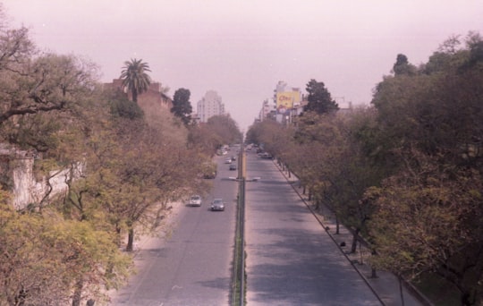 gray concrete road between green trees during daytime in Rosario Argentina