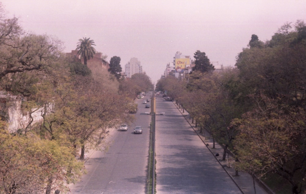 gray concrete road between green trees during daytime