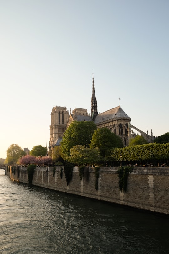 brown and white concrete building near body of water during daytime in Cathédrale Notre-Dame de Paris France