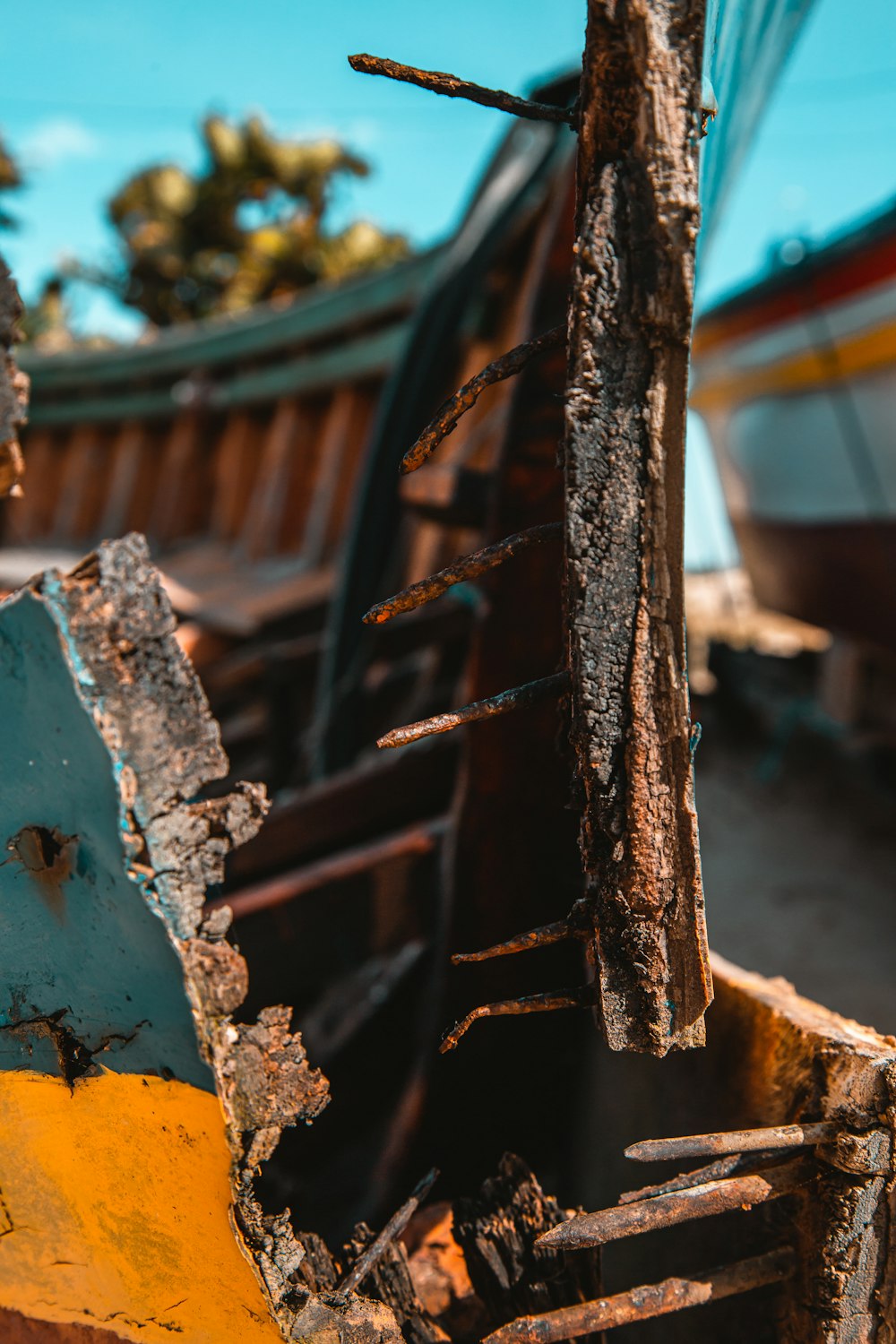 Tronco de madera marrón en barco amarillo y azul