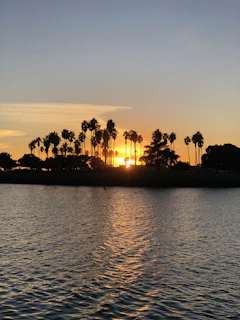 A serene sunset over the turquoise waters of the Maldives, with a silhouette of a palm tree.