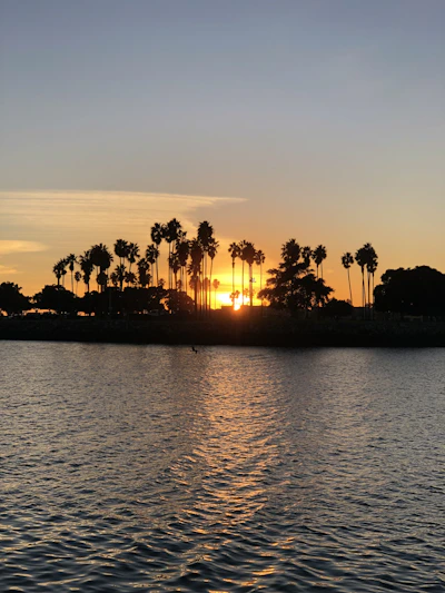 A serene sunset over the turquoise waters of the Maldives, with a silhouette of a palm tree.