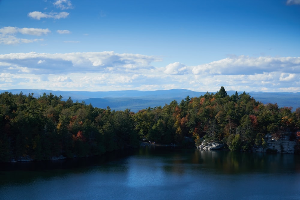 green trees near body of water under blue sky during daytime