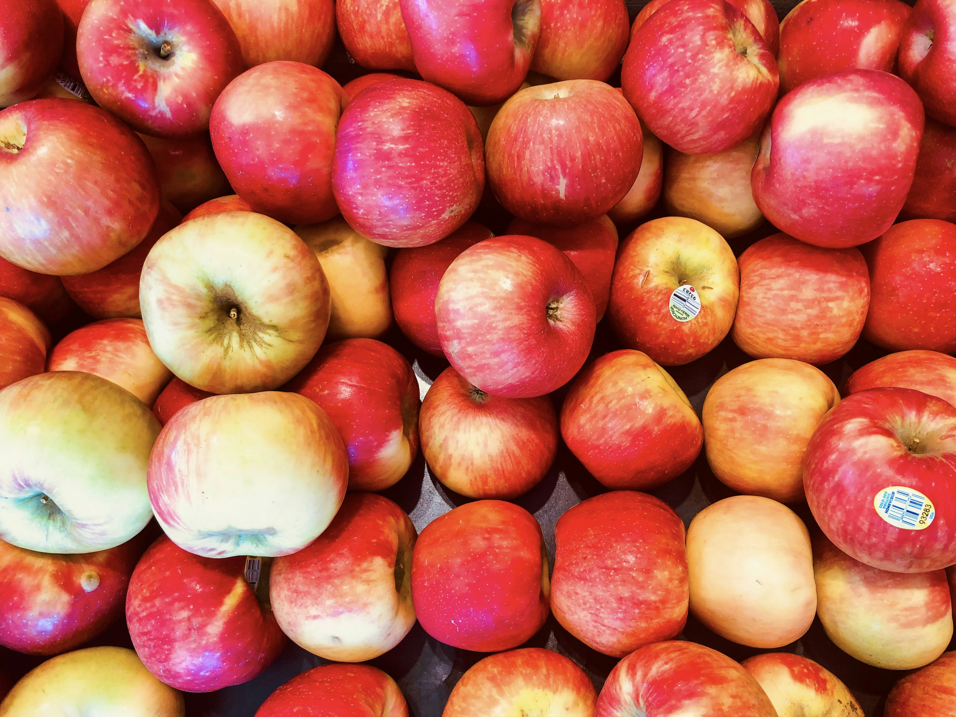 Photo by disneyland3078