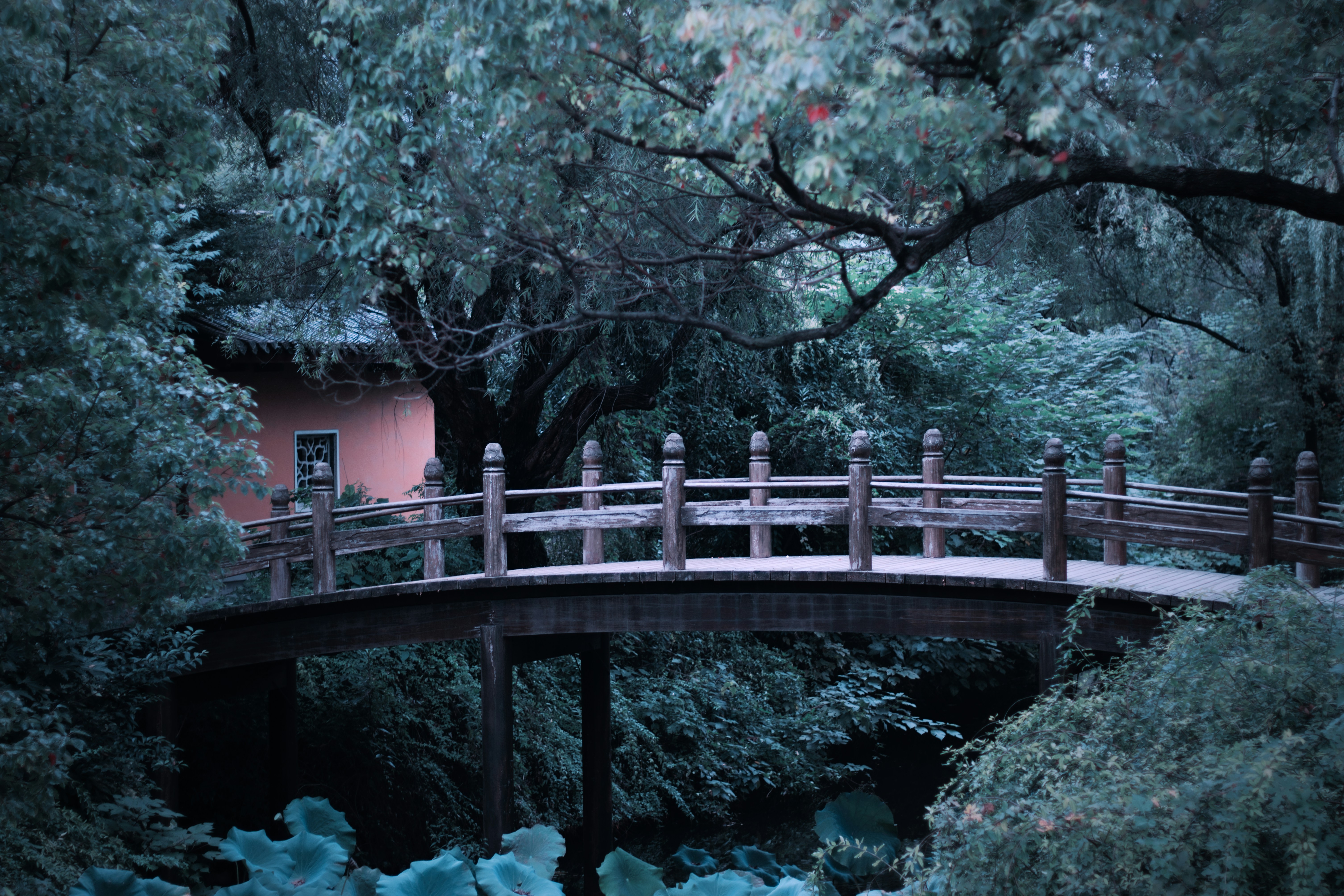 Photo by toyamakanna