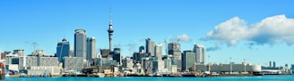 city skyline under blue sky during daytime