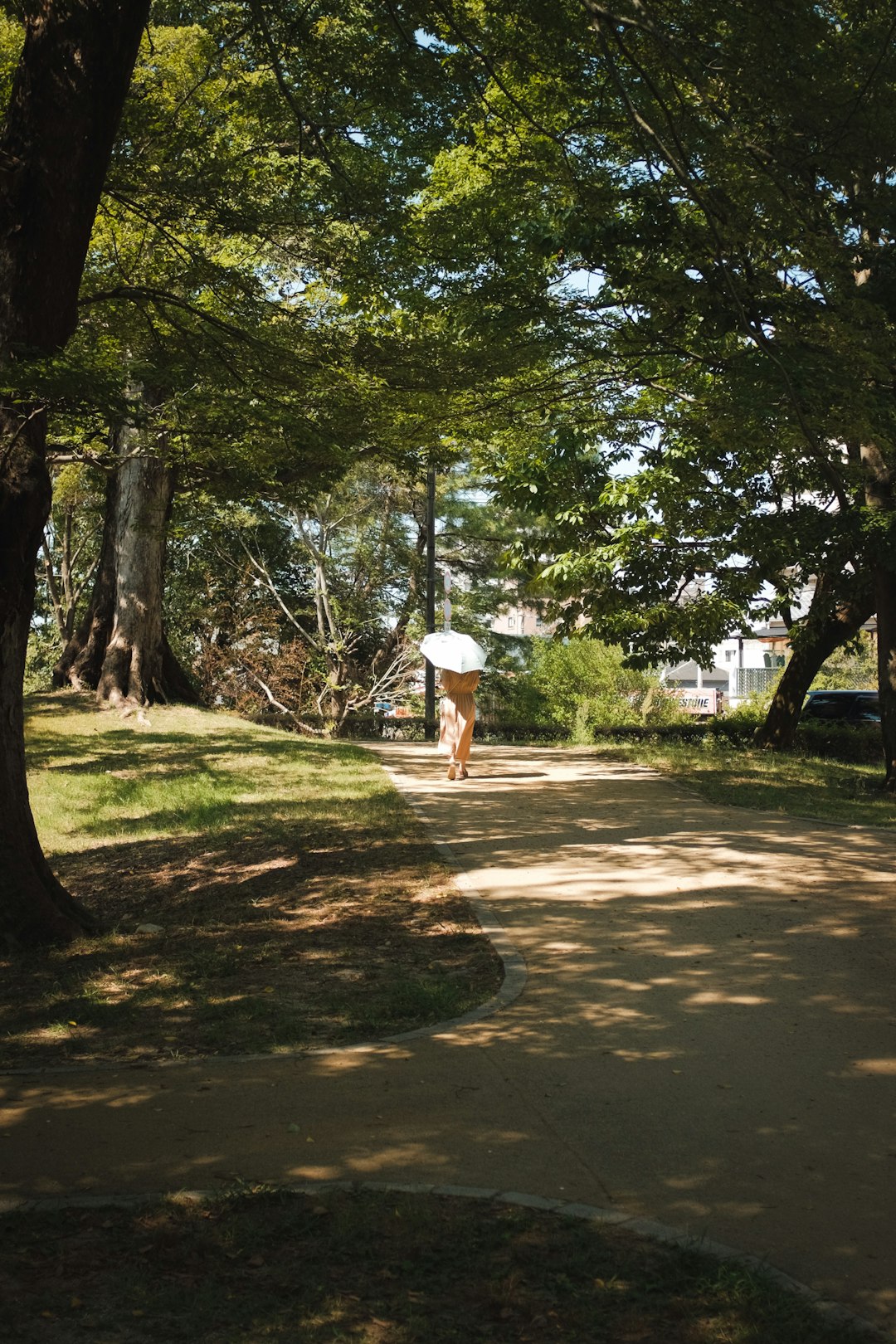 woman in white dress walking on pathway between green trees during daytime