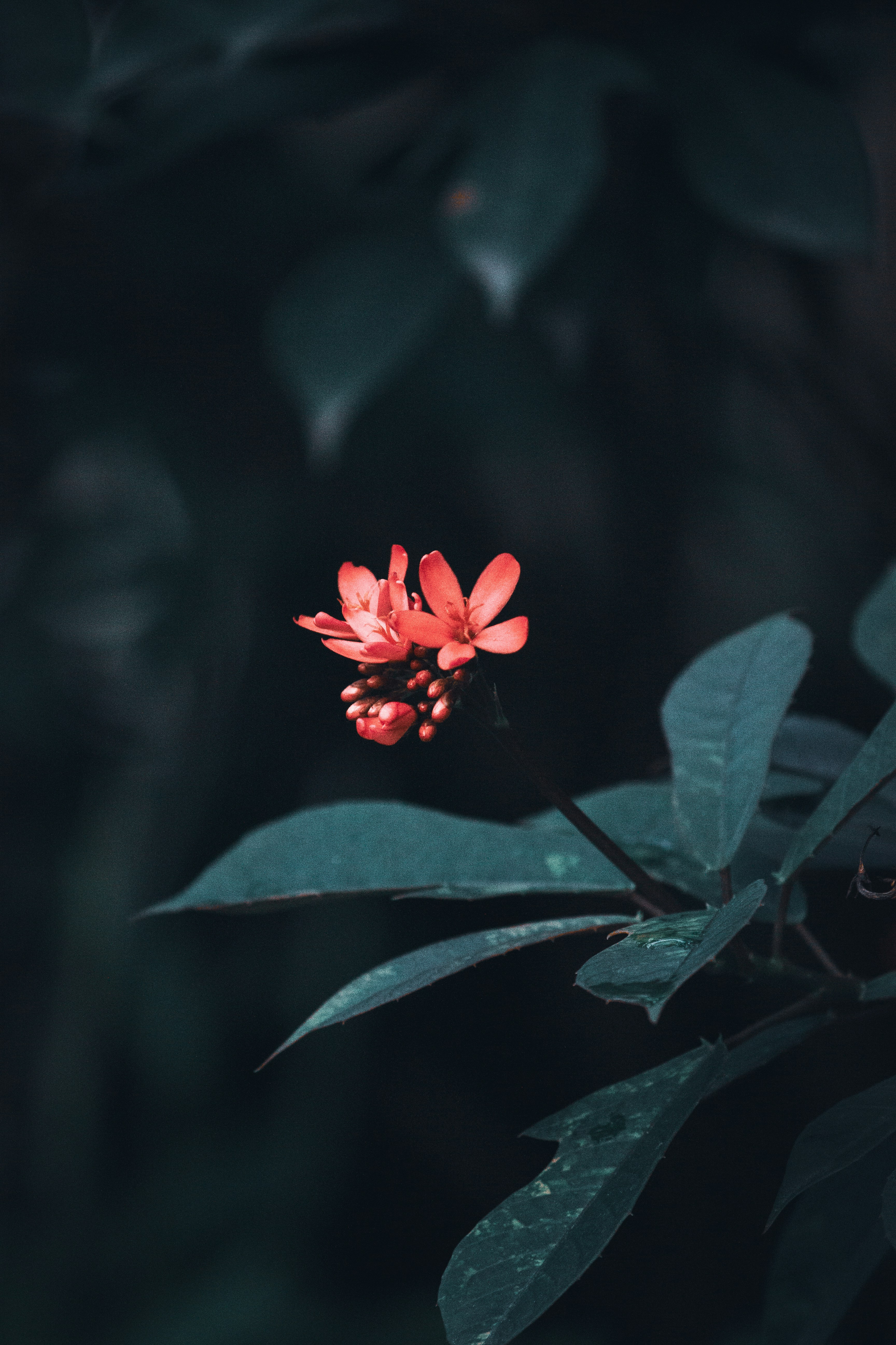 Photo by thilak_cm212