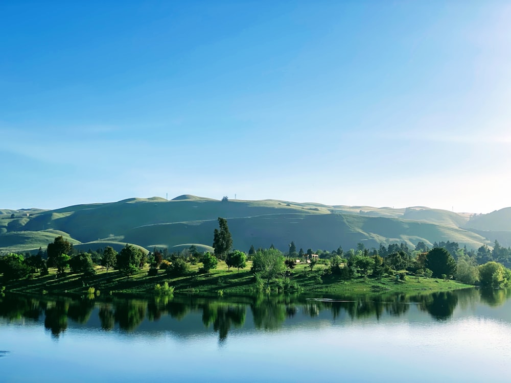 green trees near lake under blue sky during daytime