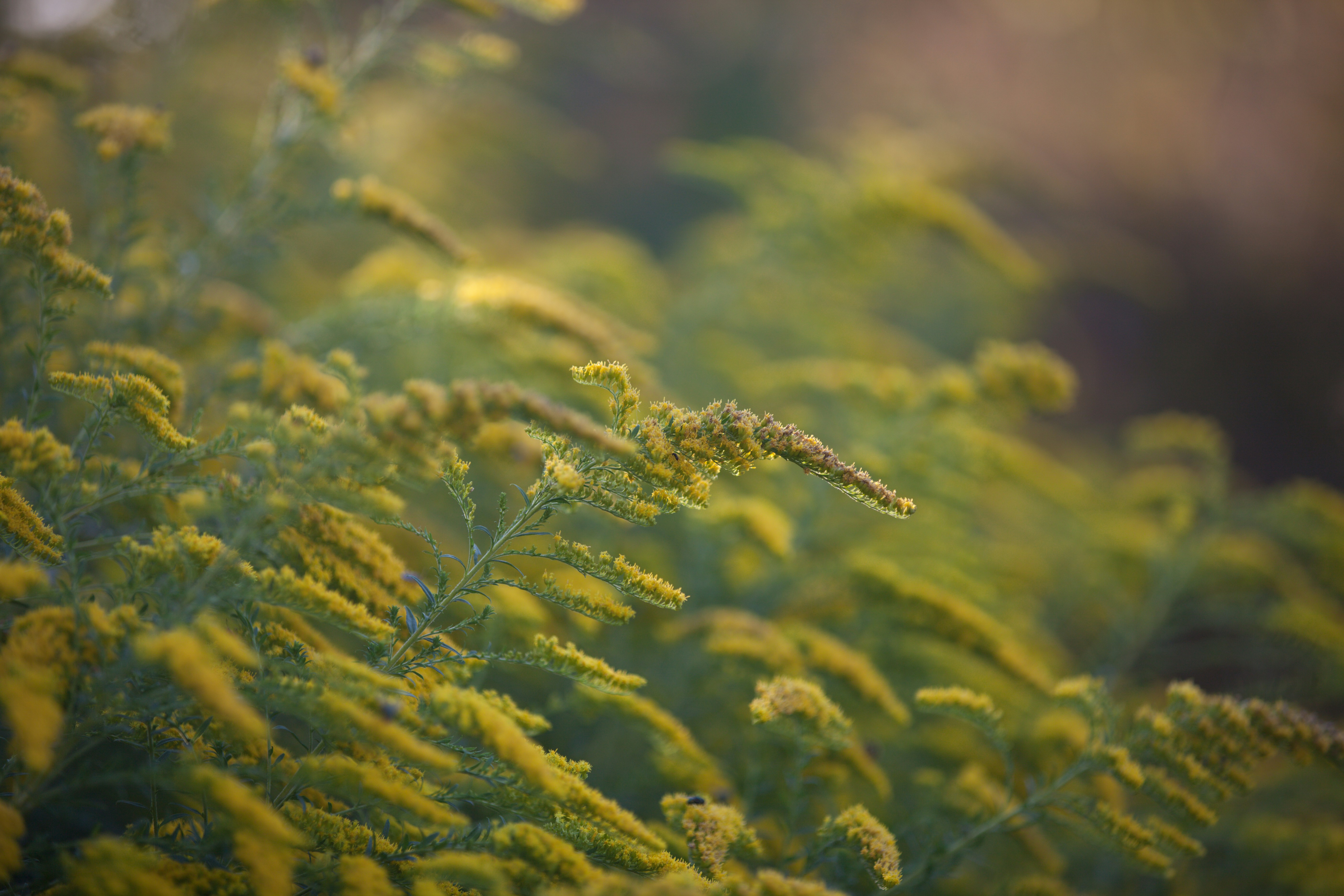 Photo by anamnesis33