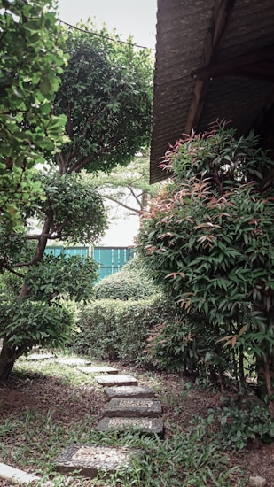 A serene garden pathway lined with green bushes and trees, leading to an area beneath a rustic, corrugated metal roof. The scene is lush with foliage, with stepping stones guiding the way through the greenery.