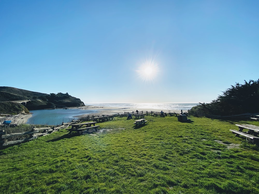 green grass field near body of water during daytime