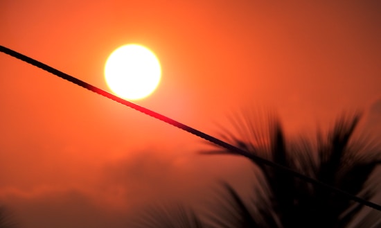 A vibrant, glowing sun is set against a deep orange sky, casting a warm light. Silhouetted palm fronds and a diagonal black cable are visible in the foreground.